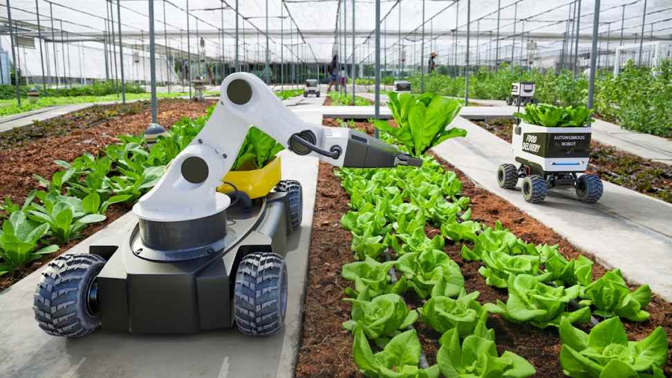The Future of Autonomous Agriculture: AI and Robotics in Farming